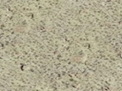 sagebrush ground texture