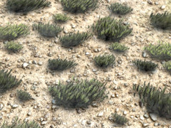 Scrub ground texture