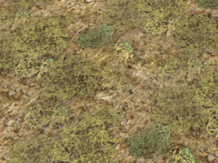 Scrub ground texture