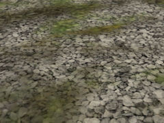 Scrub ground texture