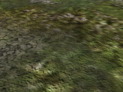 Scrub ground texture