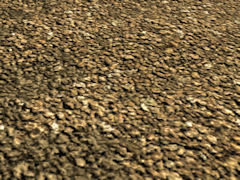 Scrub ground texture