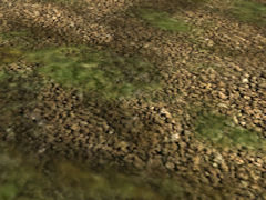 Scrub ground texture