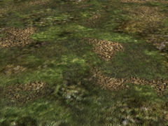 Scrub ground texture