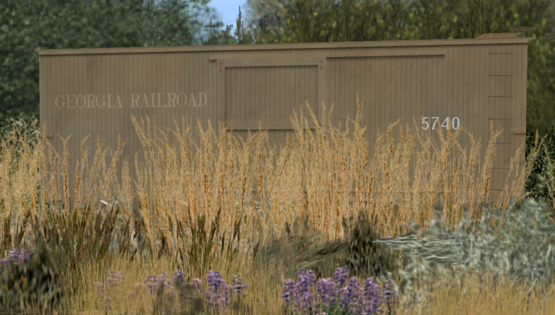 weeds.jpg